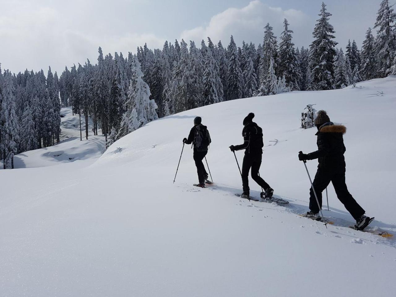 Hotel Dorfgasthof Schloesslstube Stuhlfelden Dış mekan fotoğraf
